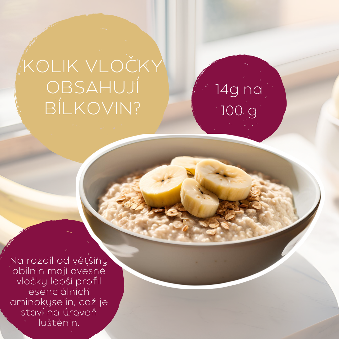 ovesné vločky a bílkoviny
